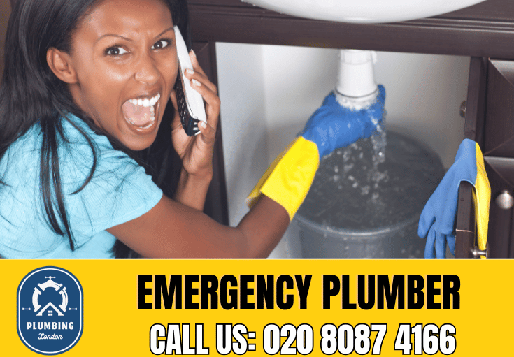 emergency plumber Palmers Green